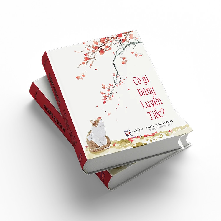 Sách Có Gì Đáng Luyến Tiếc - Đại Sư Khenpo Sodargye