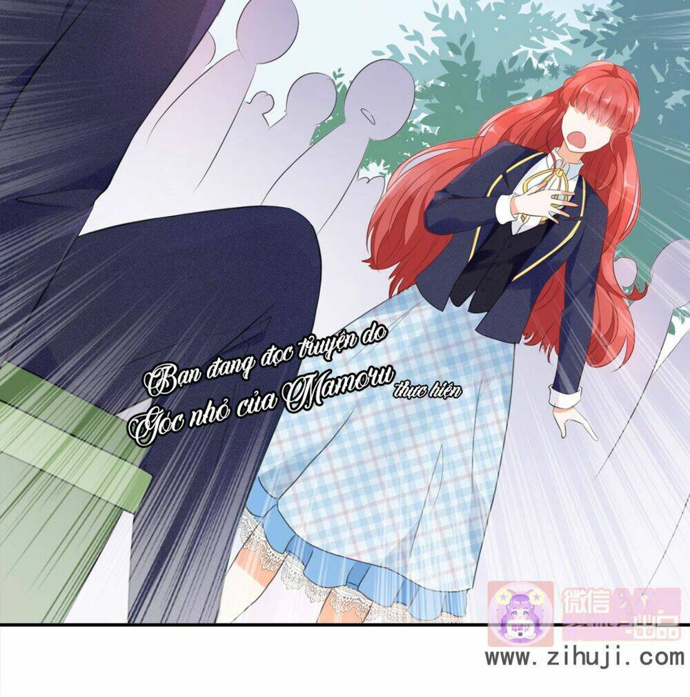 cô bé lọ lem của tôi không ăn chay chapter 1 30