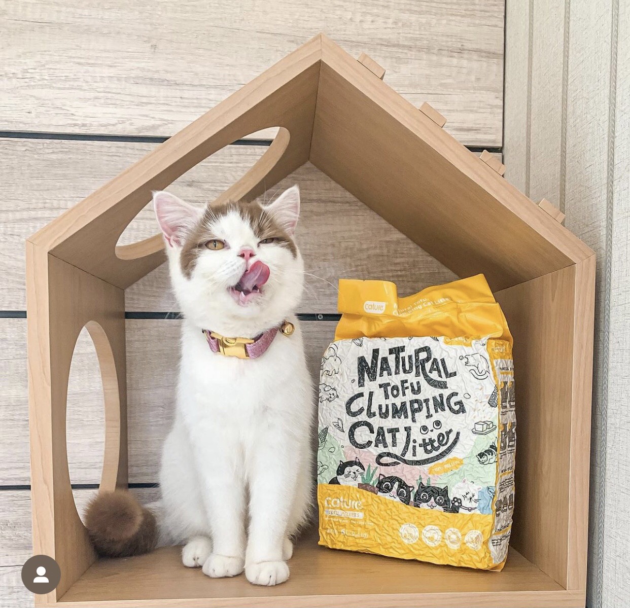 Cát đậu nành Cature Tofu 6L ( 2.4kg ) - Natural Tofu Clumping Cat Litter