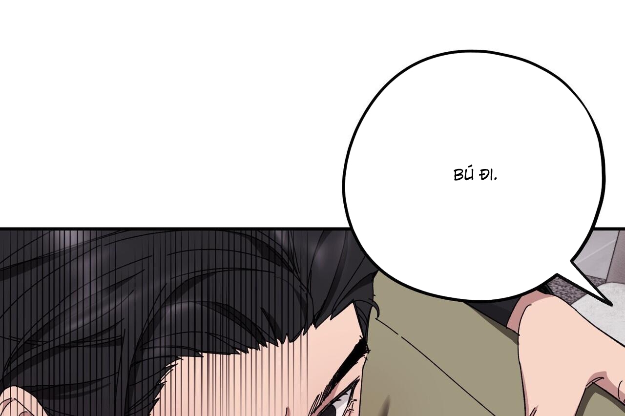 chàng dâu nhà họ kang chapter 34 42