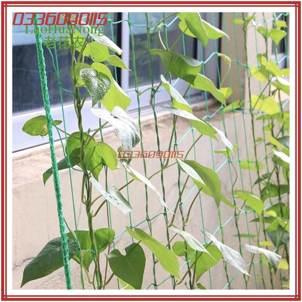 Lưới làm giàn dây leo - 1,8m x 1,8m - chất lượng cao thích hợp với bầu, bí, mướp, dưa...
