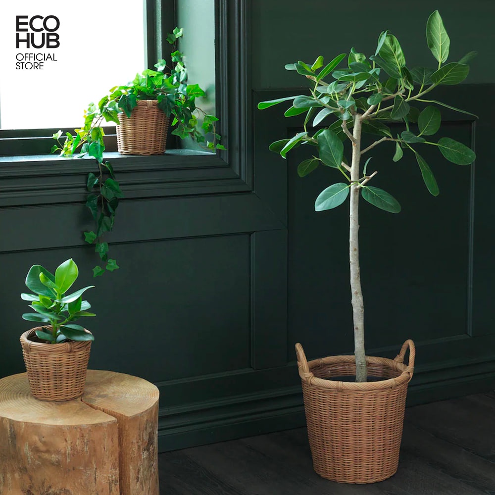 Giỏ mây trồng cây, Hoa Khô, đựng đồ, Giỏ mây decor
