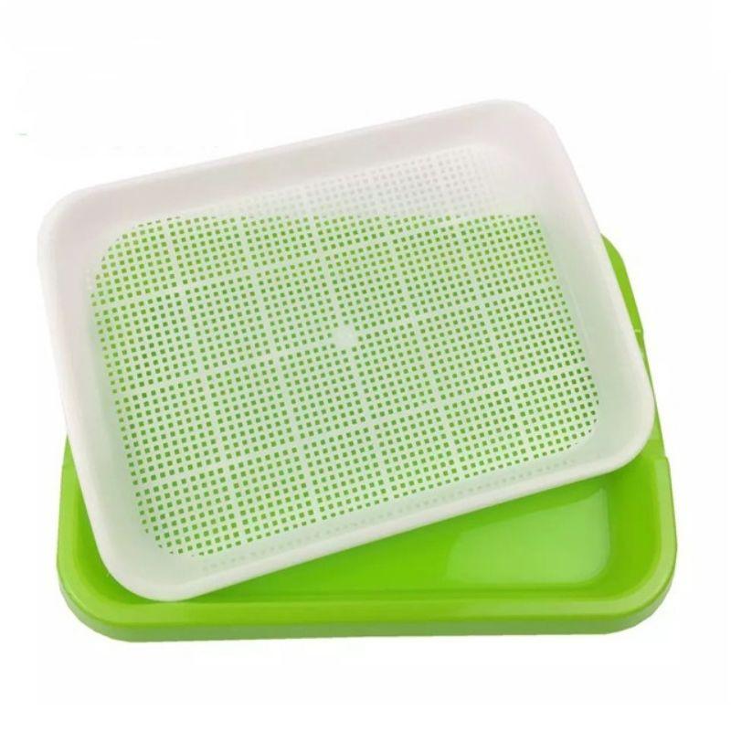 Bộ 5 KHAY NHỰA TRỒNG RAU MẦM THỦY CANH