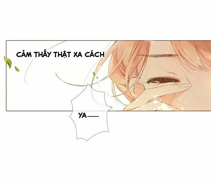 Tình yêu là màu hoa anh thảo chapter 28.1 42