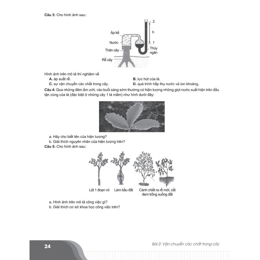 Sách - Bí quyết chinh phục điểm cao Sinh học 11 - NXB Đại học Quốc gia Hà Nội