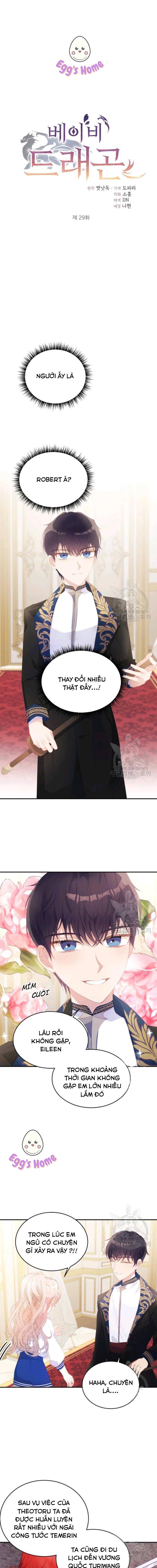 đứa con của rồng chapter 29 1