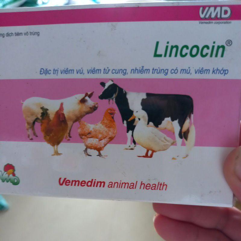 Vemedim Lincocin