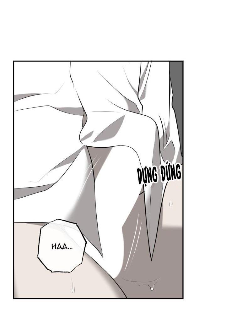 dưỡng thú cưng chapter 3 22