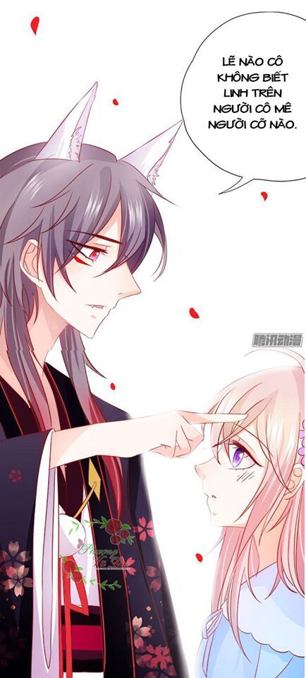 hồ tiên hung bạo chapter 6 5