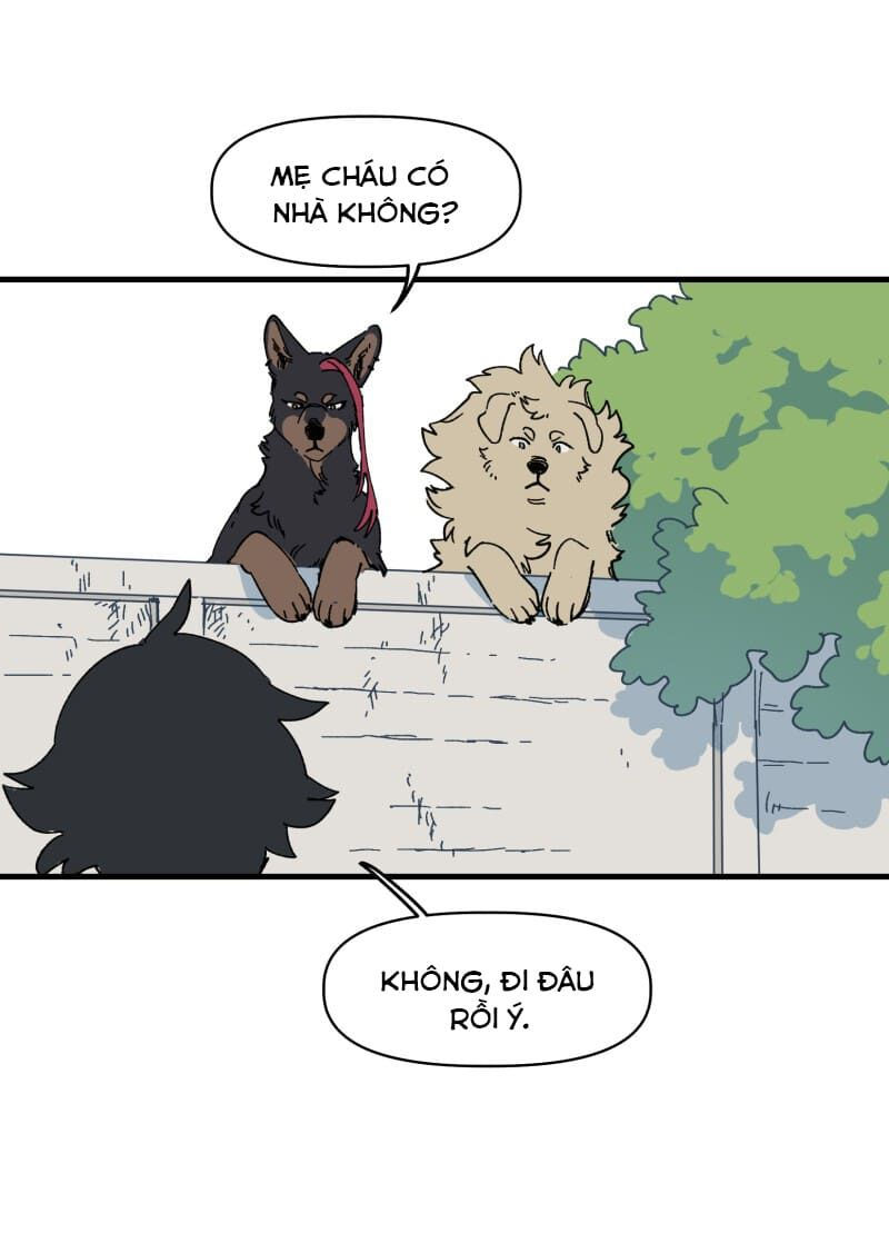 lumine - cội nguồn ánh sáng chapter 139 14