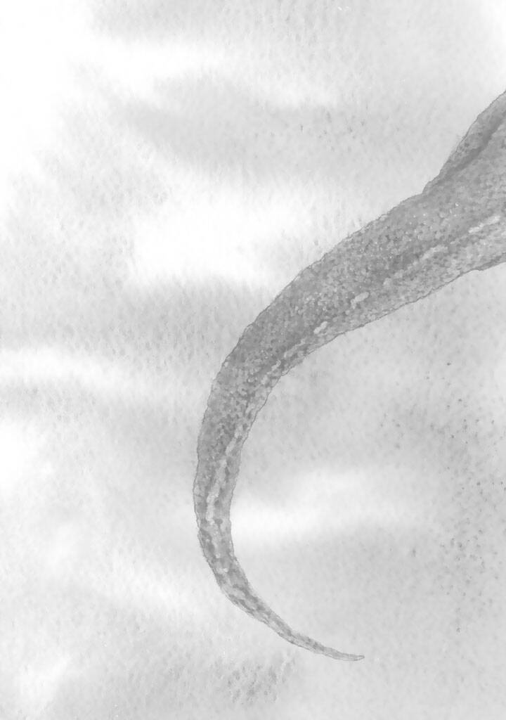 kemono no souja chapter 0 30