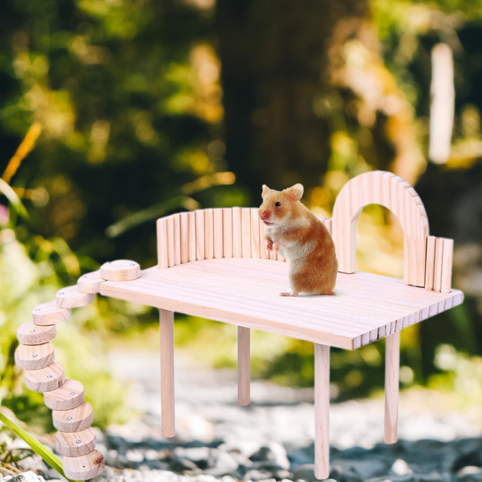 Natural Wood Platform Stand Molar Toys Board for Small Pets Gerbil Exercise