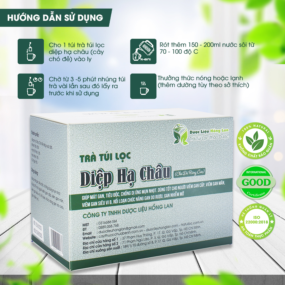 Trà Túi Lọc Diệp Hạ Châu (chó đẻ răng cưa) 60g (20gói x 3g) Dược Liệu Hồng Lan