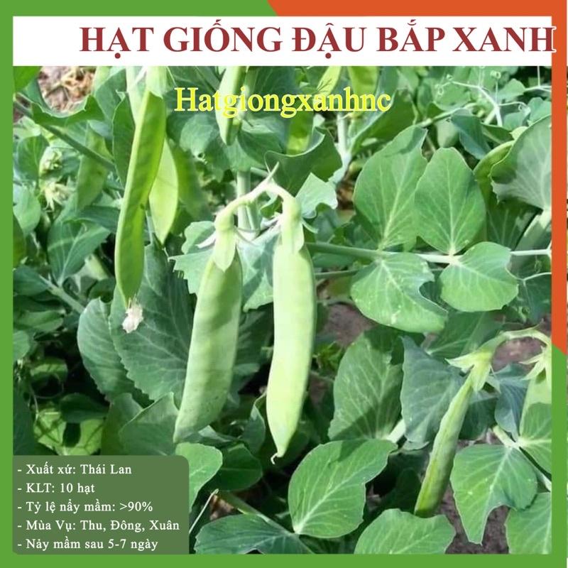 Hạt giống ĐẬU VÁN XANH, Dễ trồng, năng suất, nhiều dưỡng chất Gói 10 hạt thuộc loại rau củ quả bốn mùa