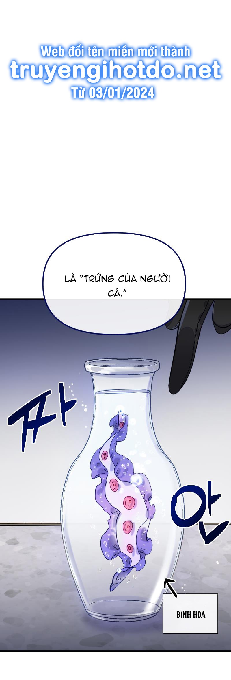 tiên cá trên bờ chapter 2 5