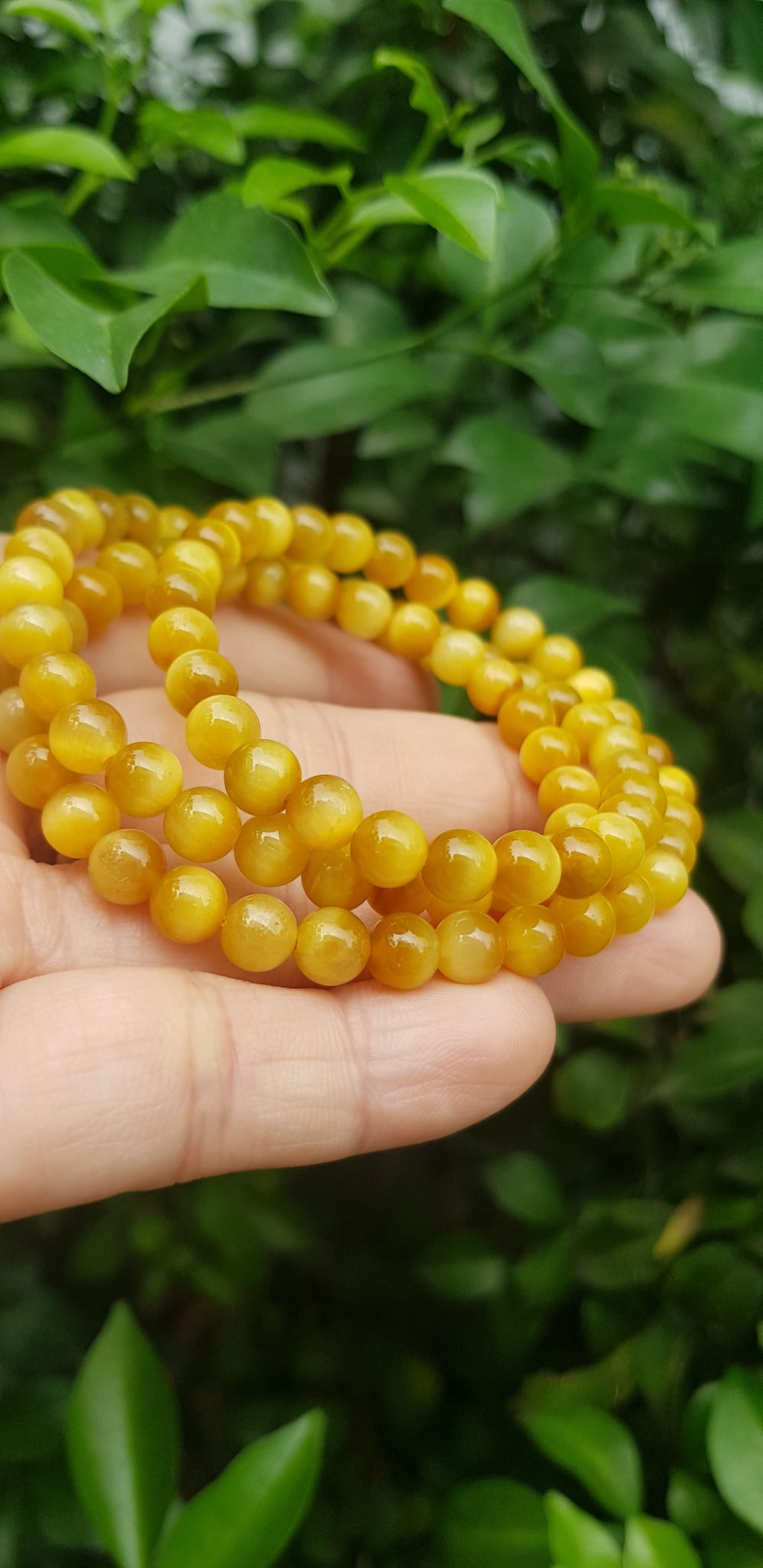 Vòng tay nữ đá mắt hổ tự nhiên vàng anh vip 6mm quấn tay 3 vòng đẹp vòng màu vàng anh tươi đẹp hợp nữ mệnh kim mệnh thổ mệnh thuỷ đeo tay may mắn xinh đẹp sang tay ạ