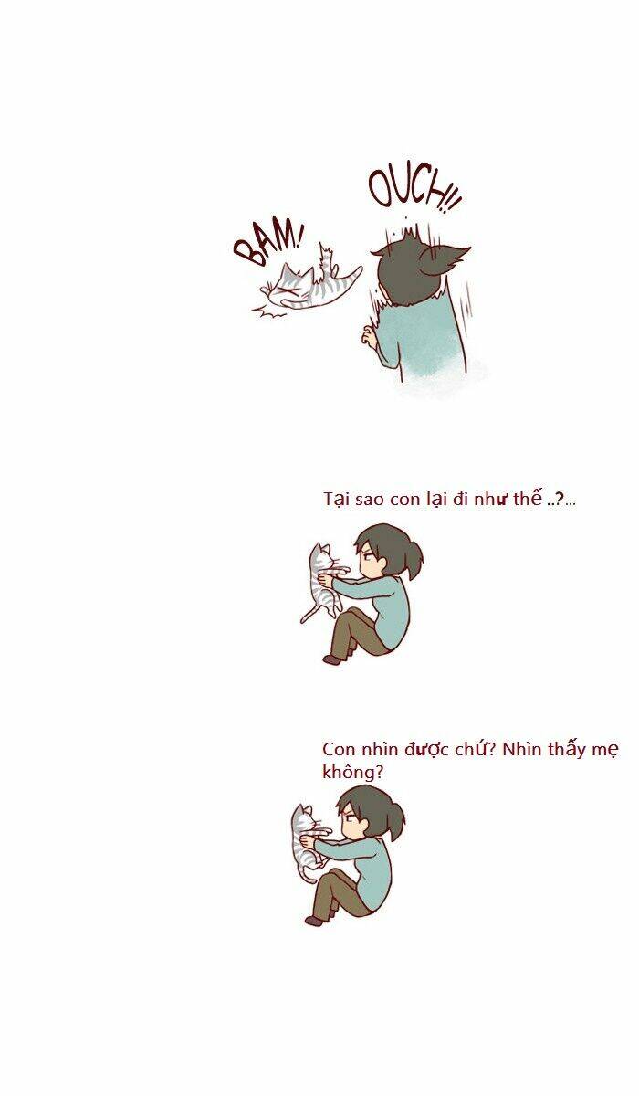 my kitty and old dog chapter 3 3