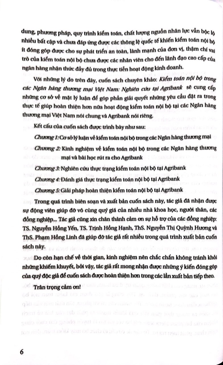 Kiểm Toán Nội Bộ Trong Các Ngân hàng Thương Mại Việt Nam - Nghiên Cứu Tại Agribank ( Sách Chuyên Khảo)