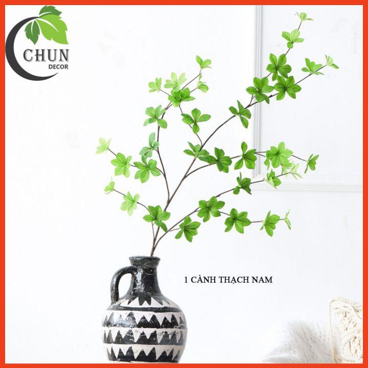 Cành thạch nam xanh mướt dài 110 trang trí nhà cửa, cửa hàng, văn phòng, làm đạo cụ chụp ảnh