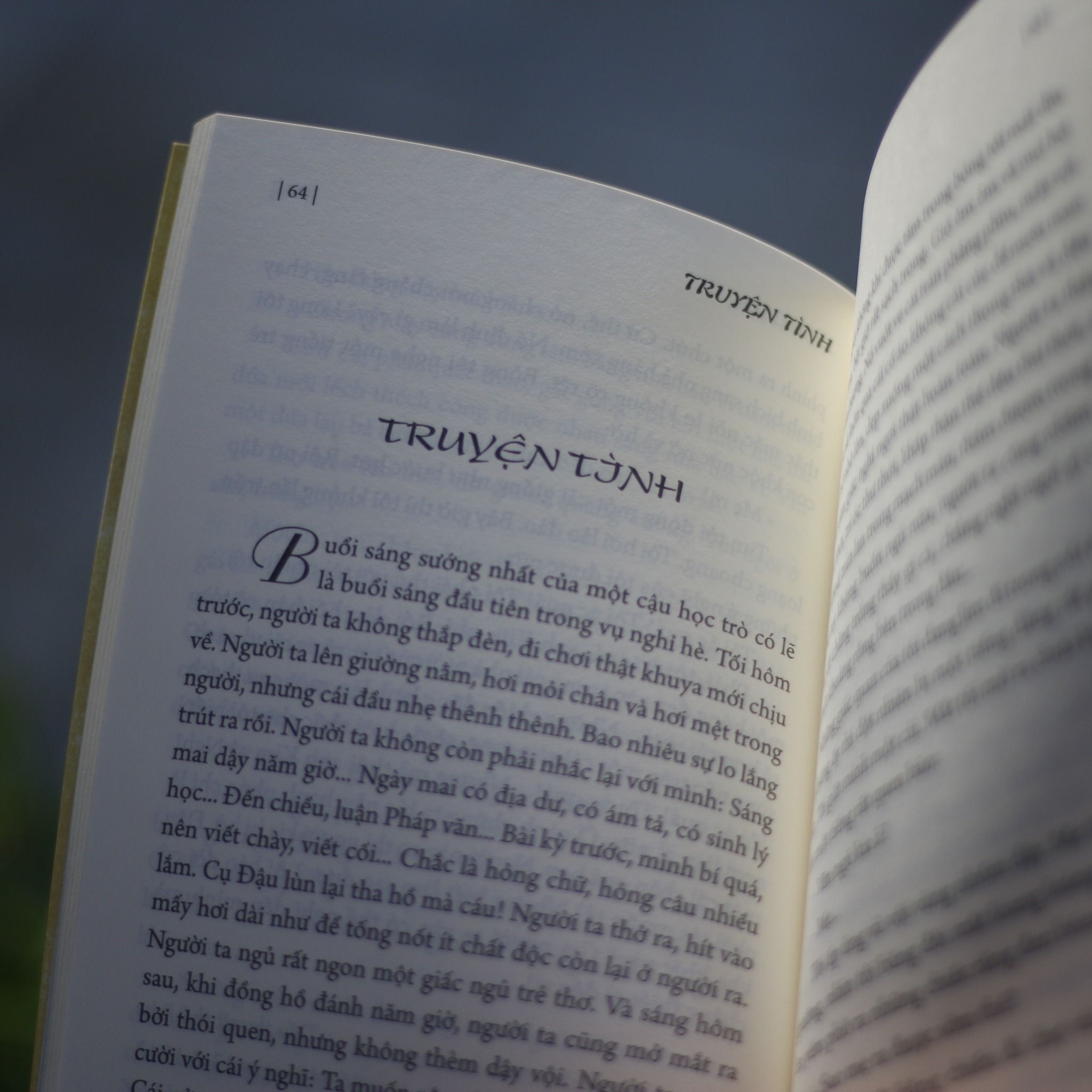 Đời Thừa (Tập Truyện Ngắn) 