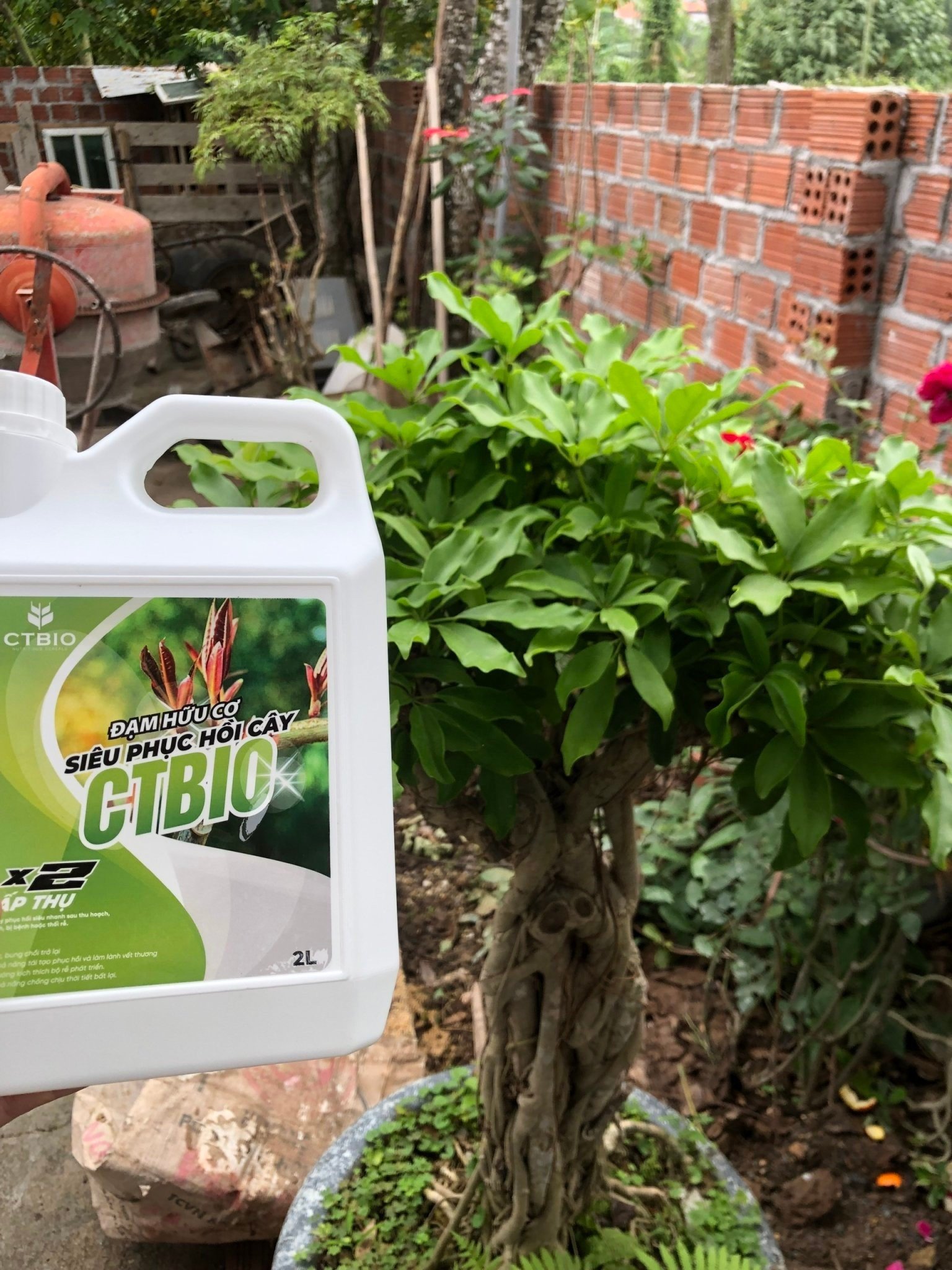 SIÊU PHỤC HỒI CÂY CTBIO - phân hữu cơ