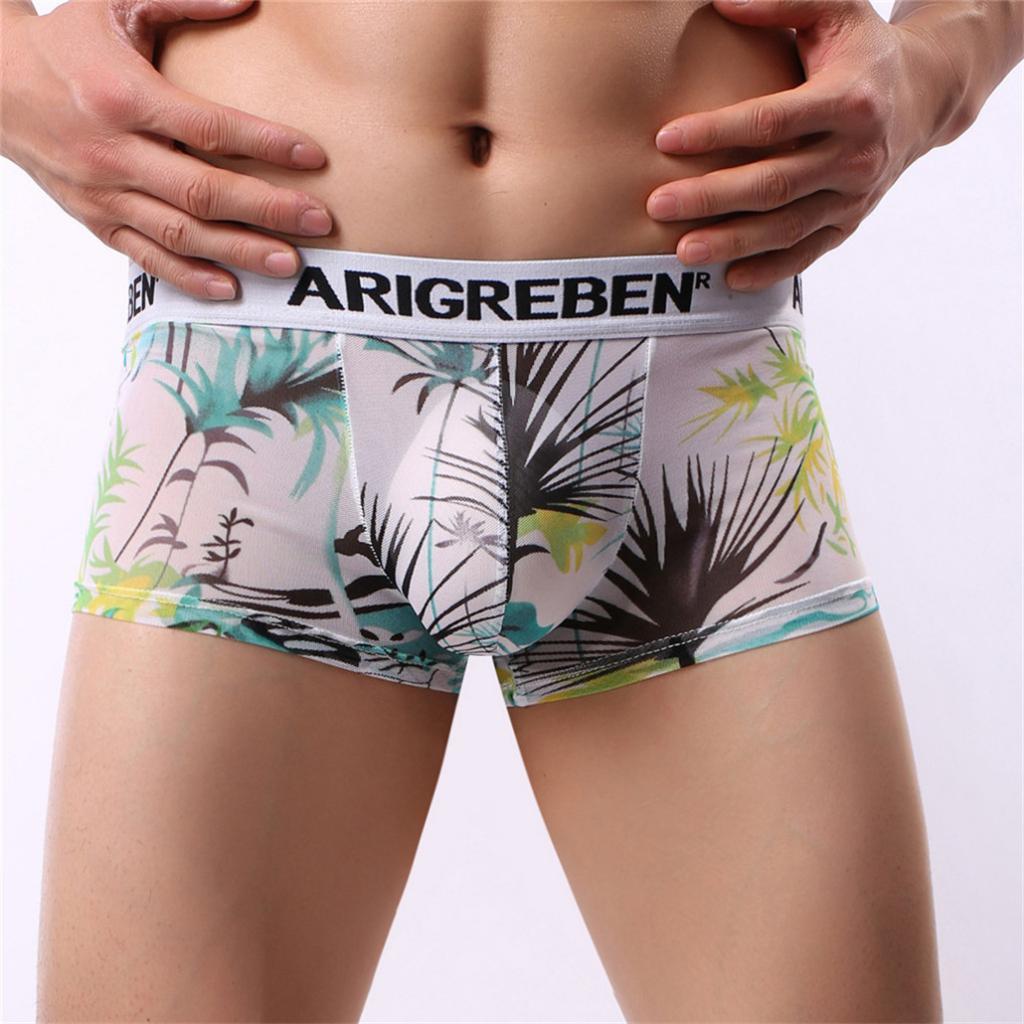 Mens Sexy Sheer Mesh Net Underwear Boxer Briefs Flower Underpants