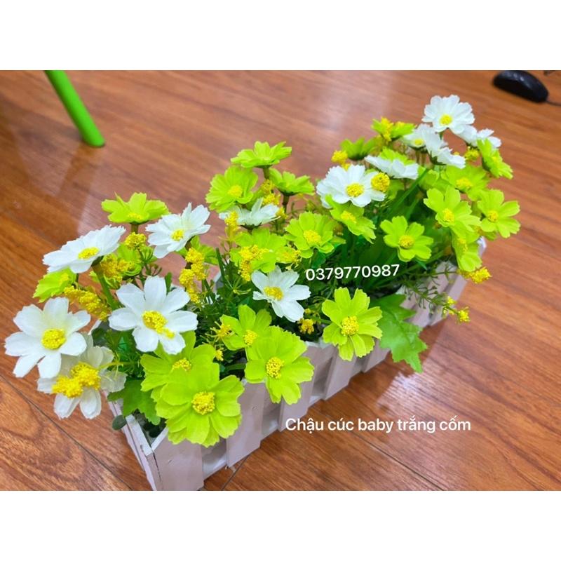 Chậu hàng rào gỗ cắm sẵn hoa decor