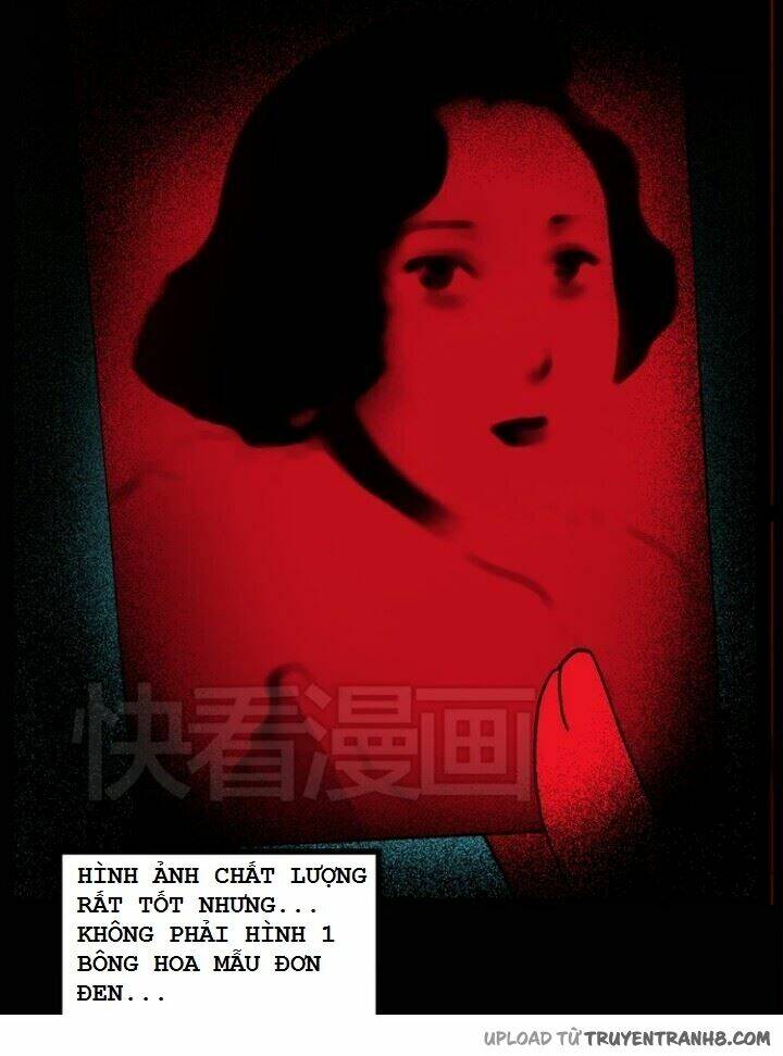 hoa mẫu đơn đen chapter 7 22