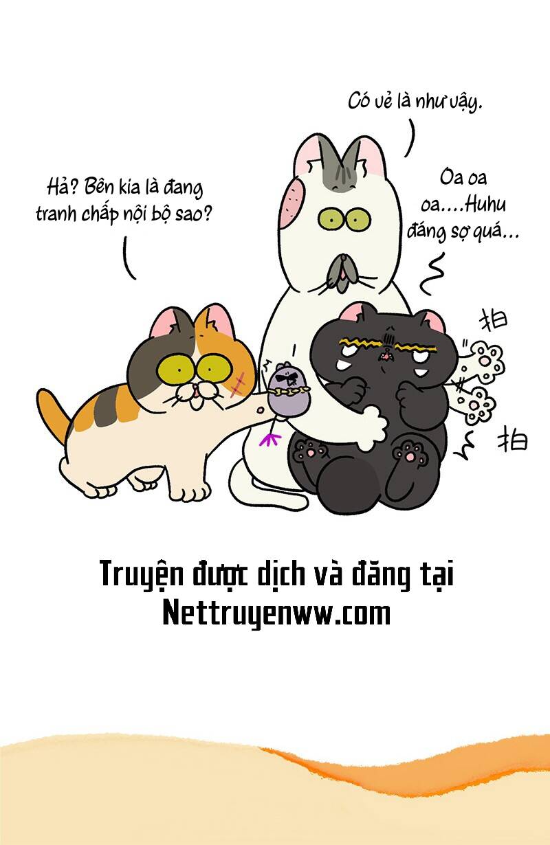 a mãn và mạch trà chapter 43.1 7