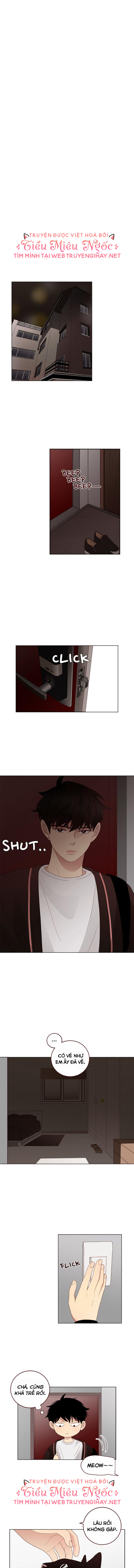 crush của tôi chapter 22 7