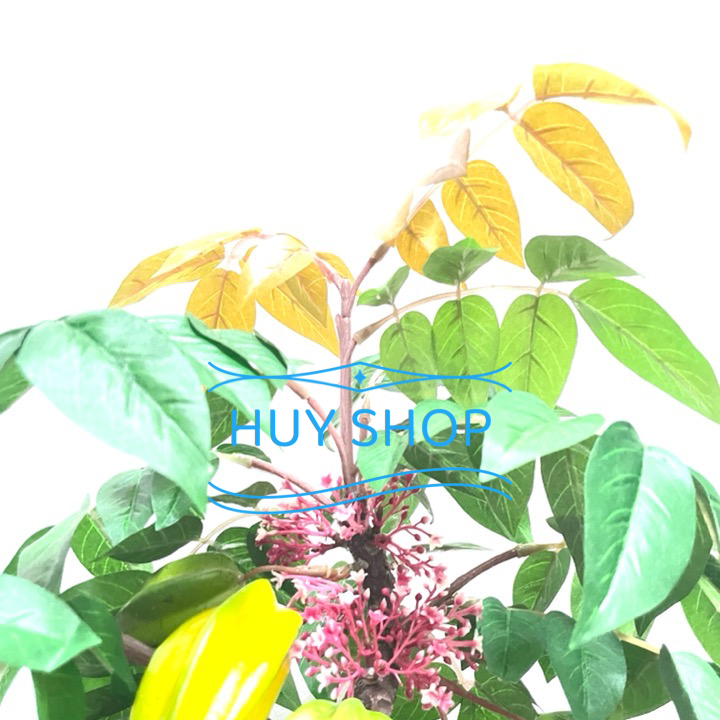 CHẬU CÂY TRÁI KHẾ NHÂN TẠO SỐ 4 TRANG TRÍ NHÀ CỬA