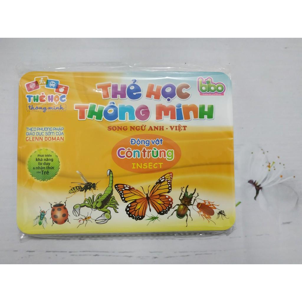 Combo 20 bộ thẻ học thông minh cho bé