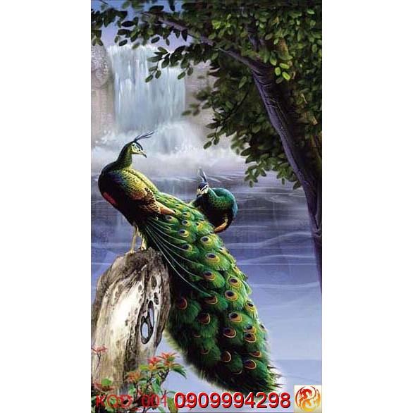 TRANH DÁN TƯỜNG 3D CHIM CÔNG