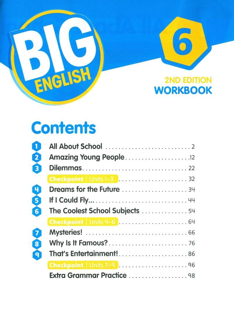 Big English Ame 2nd Edition Workbook With Audio CDs Level 6