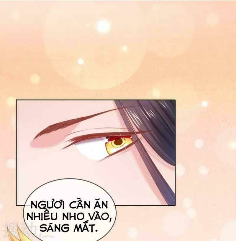 thị huyết y phi chapter 64 28