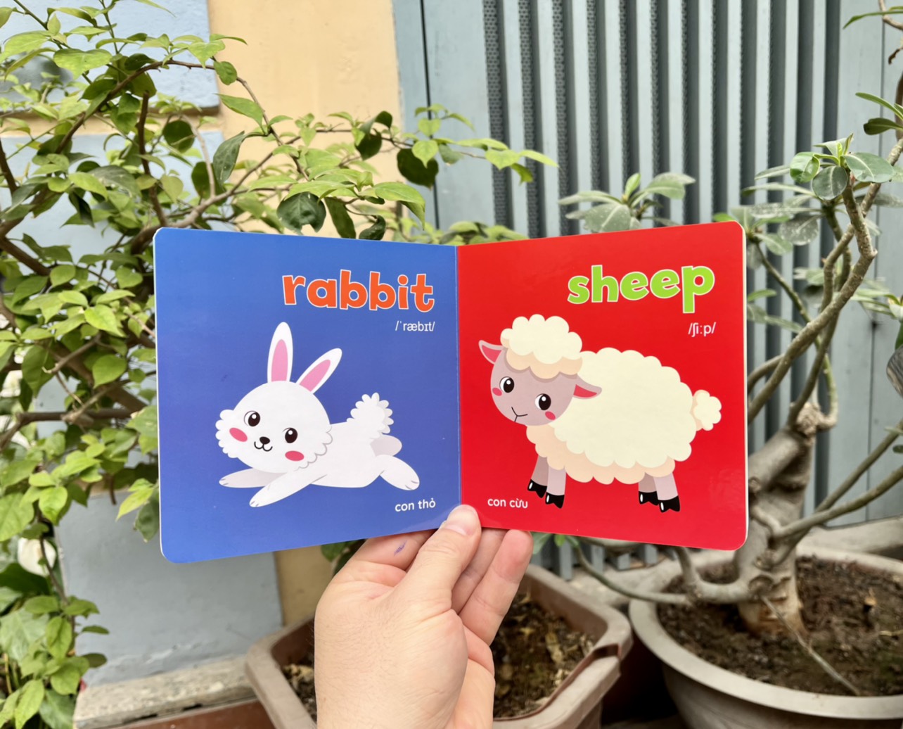 Bộ sách Thư viện hình ảnh đầu tiên cho bé về thế giới xung quanh - Baby's first picture book - Bộ 8 cuốn 8 chủ đề song ngữ - Có file nghe