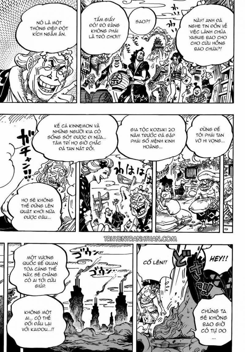 đảo hải tặc - one piece chapter 955 13