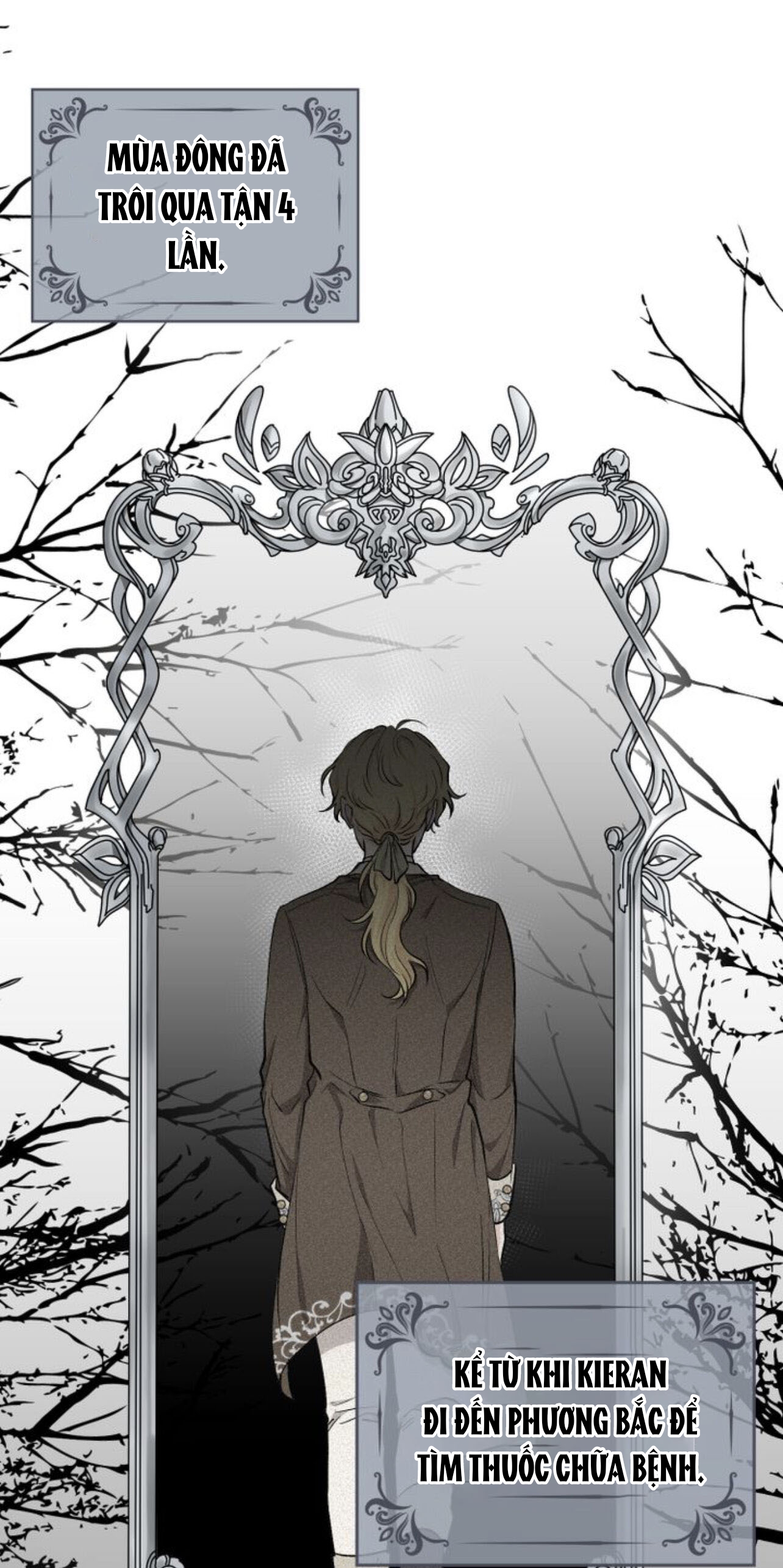 đi tìm nàng camellia chapter 10 10