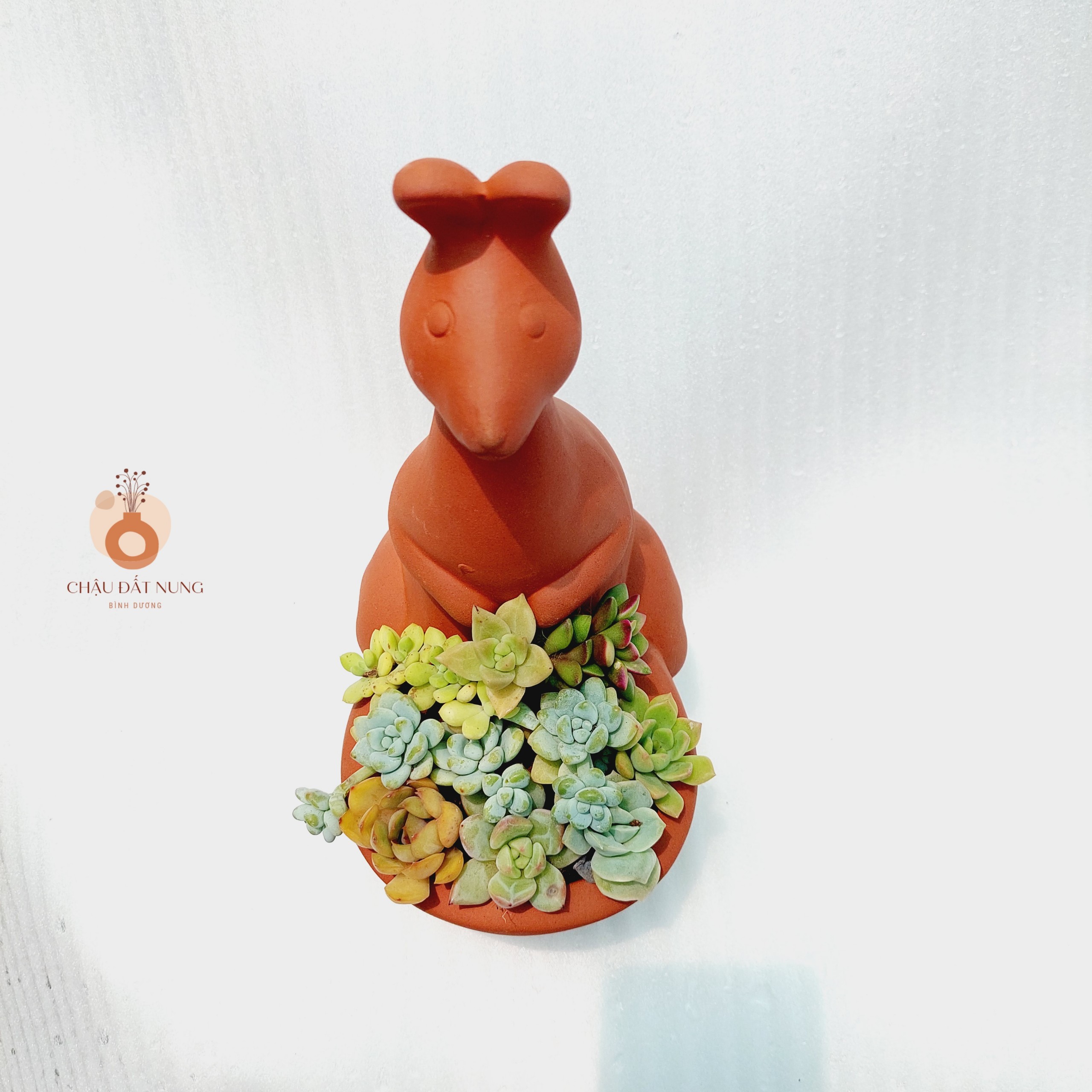Chậu đất nung Bình Dương - Chú chuột túi dễ thương, miệng chậu 9cm, chiều cao 27cm