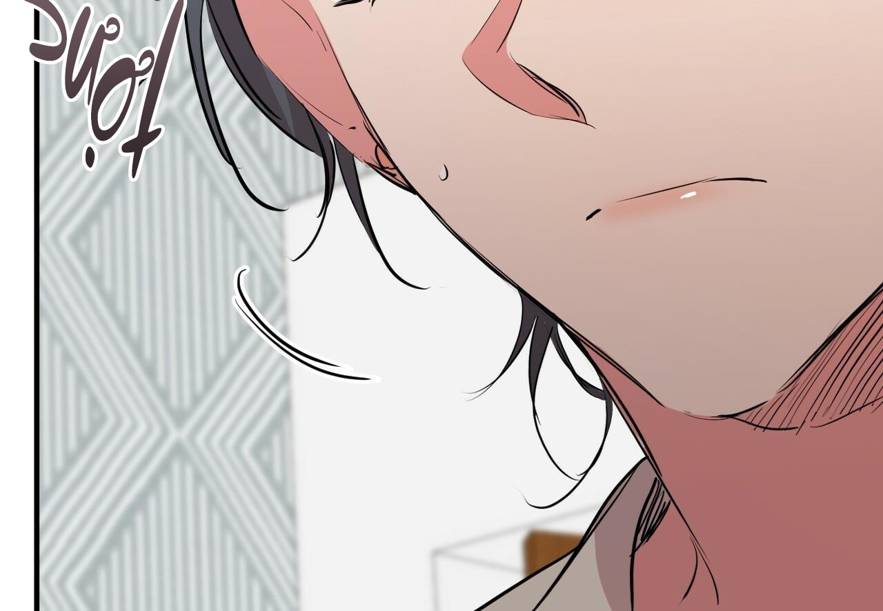 đàn thỏ của habibi chapter 29 221