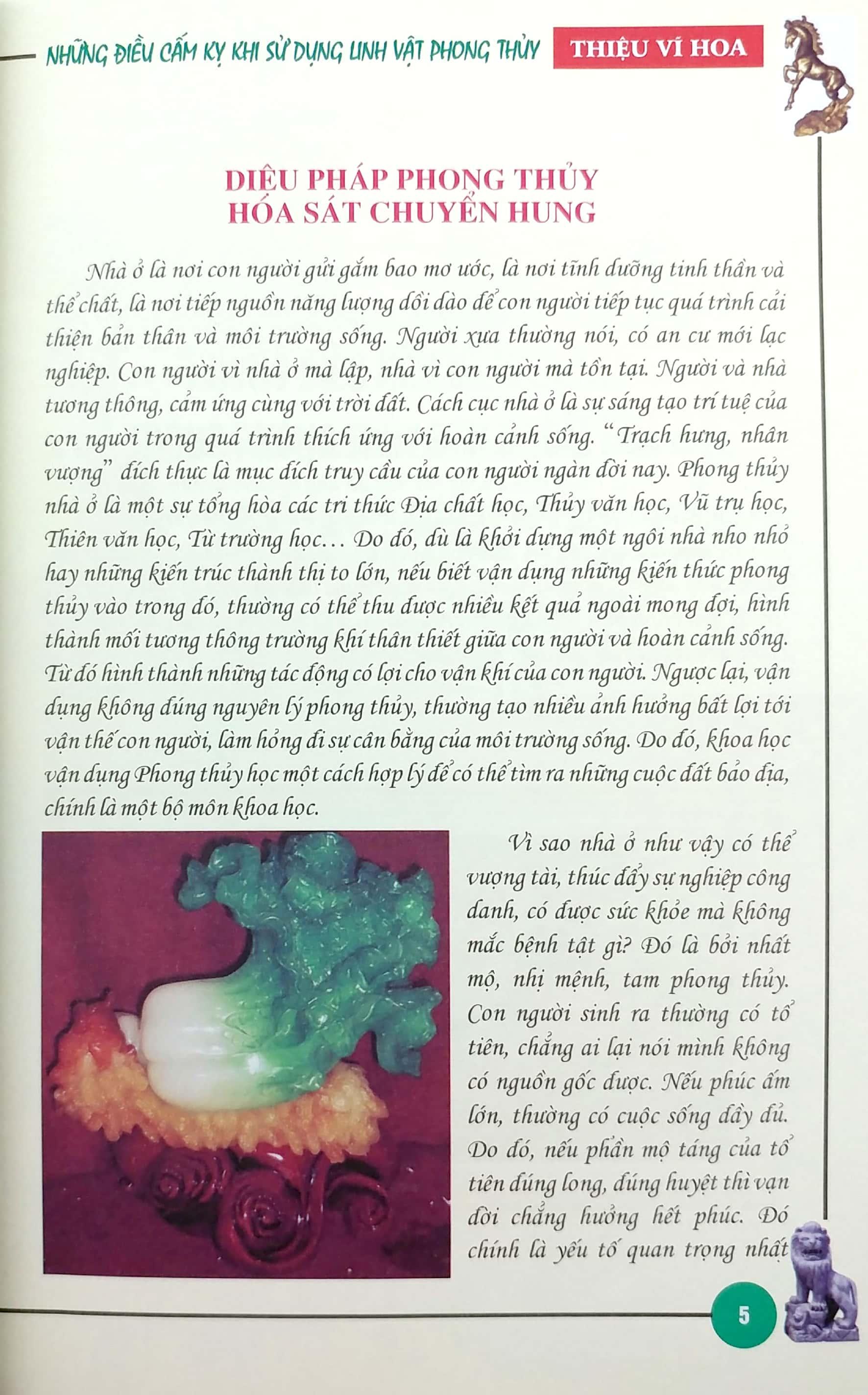 Những Điều Cấm Kỵ Khi Sử Dụng Linh Vật Phong Thủy (2022)