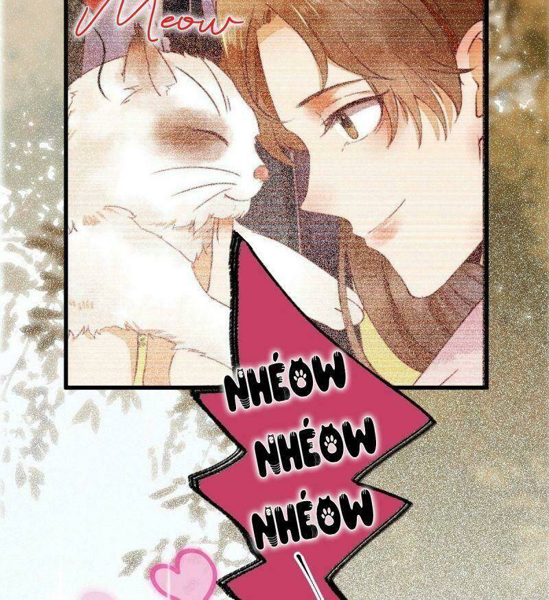 sát thủ vương phi không dễ chọc chapter 34 56