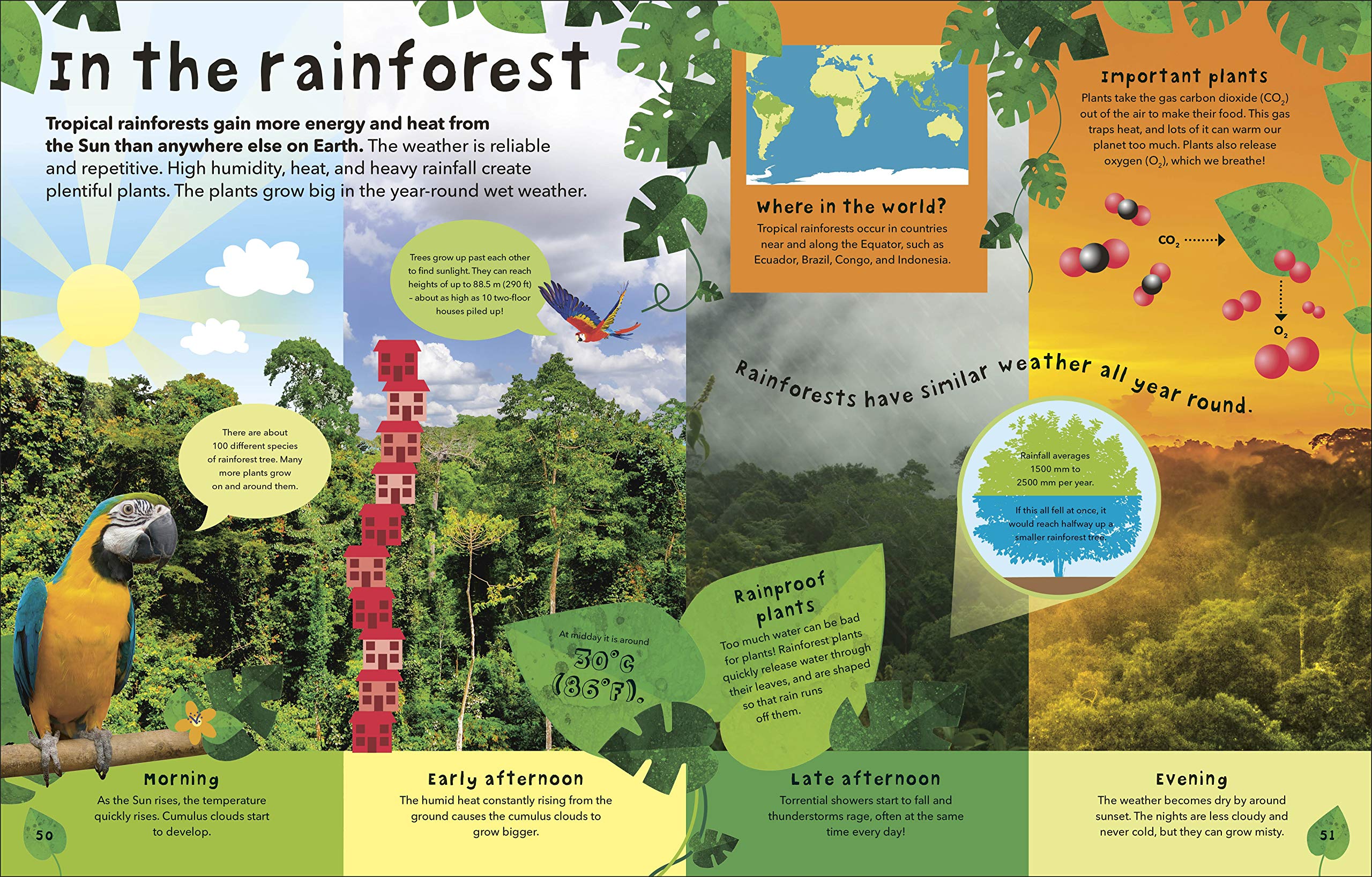 What's The Weather?: Clouds, Climate, And Global Warming