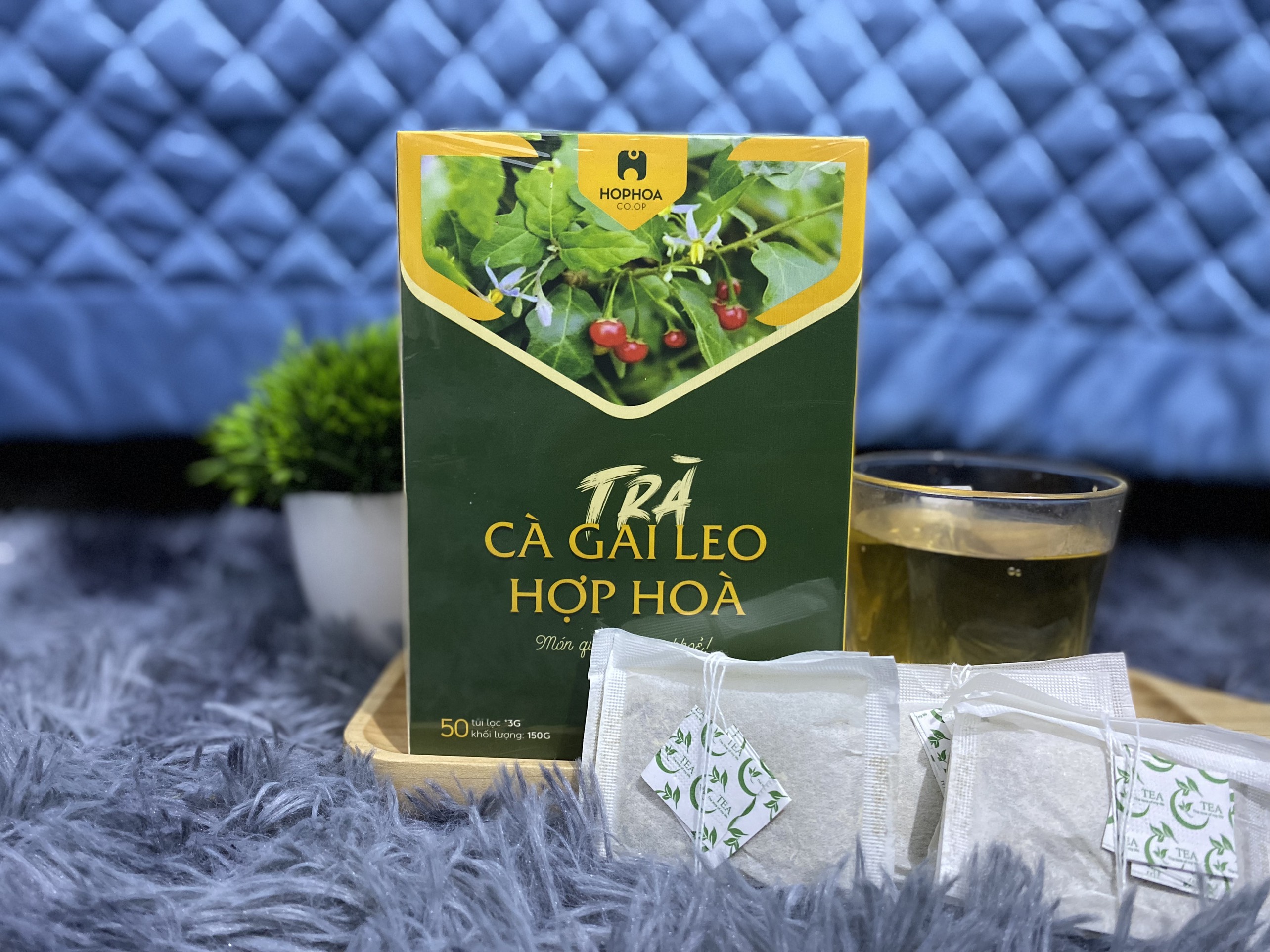 &quot;Mẫu Mới&quot; Trà Cà Gai Leo Hợp Hòa - Cà gai leo+Xạ đen+Cỏ Ngọt - 50 túi lọc - OCOP 4 Sao