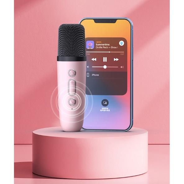 Bộ Micro loa bluetooth Karaoke Mini Ngoài Trời KTV Cardioid