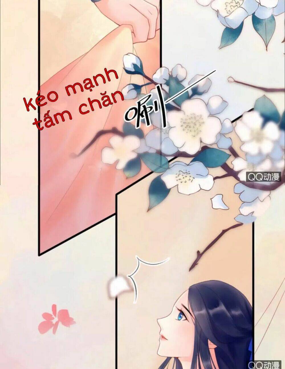 sủng phi của vương chapter 28 4