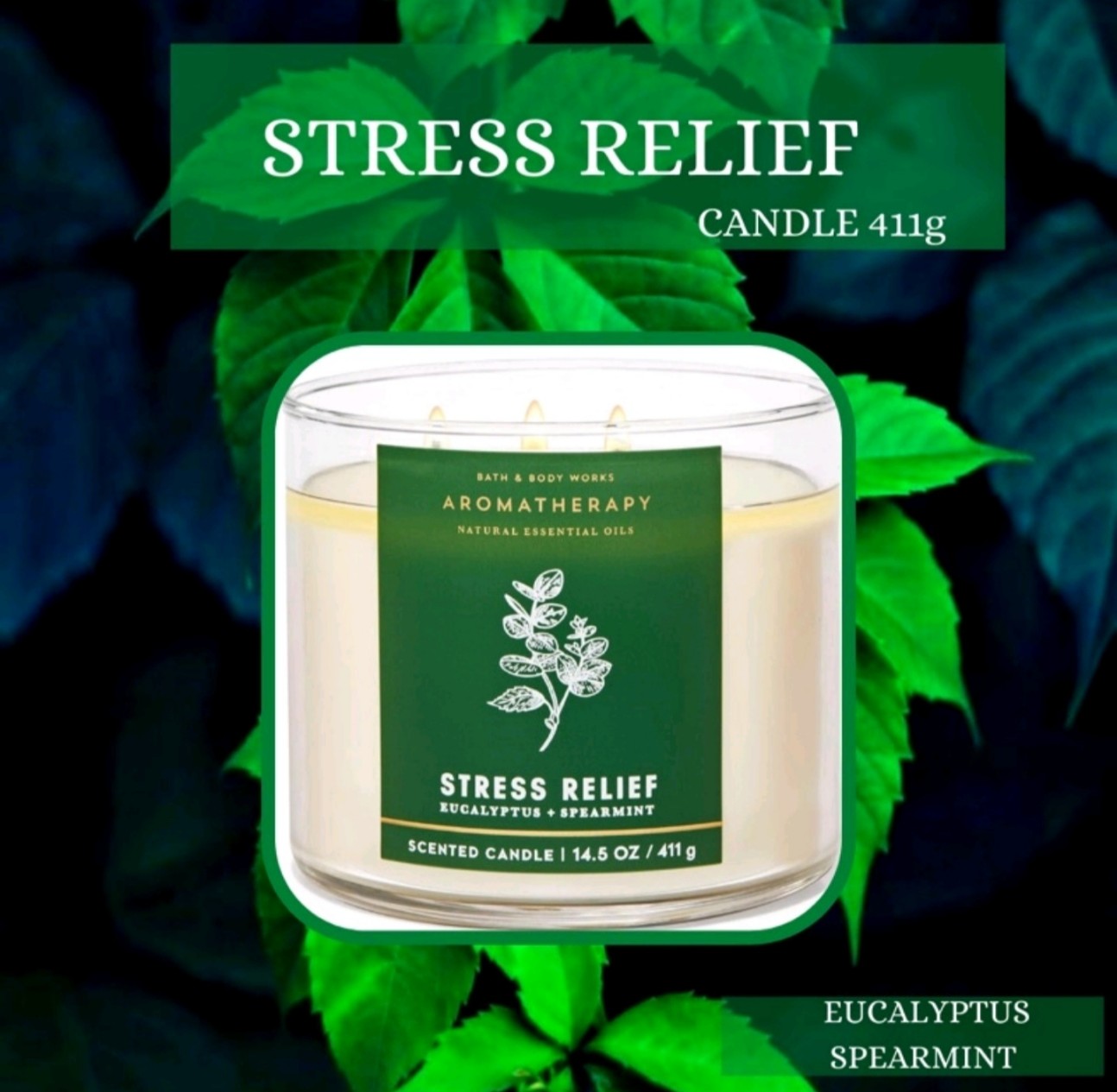 Nến thơm Bath and Body Works Stress Relief Eucalyptus Spearmint 3 bấc