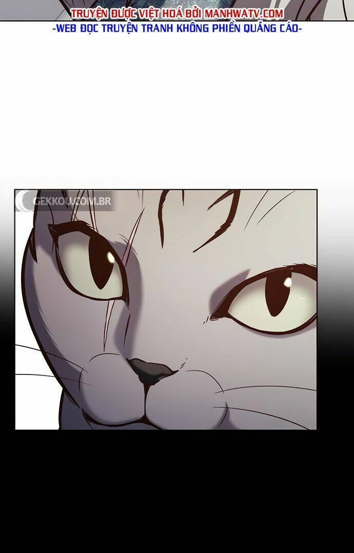 biến thân thành mèo chapter 188 83