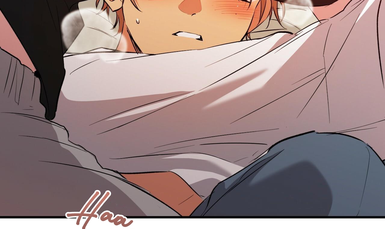 đàn thỏ của habibi chapter 53 237