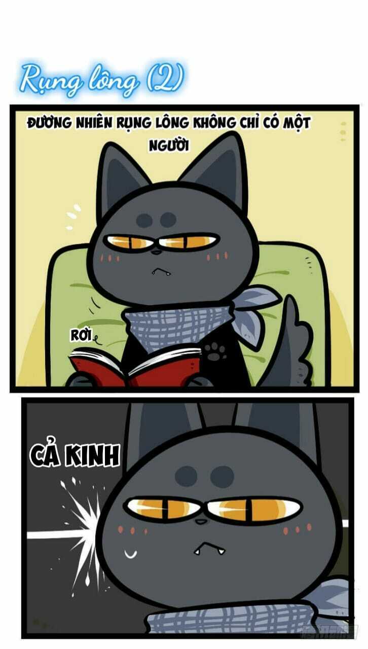 đời không như mình tưởng chapter 36 2